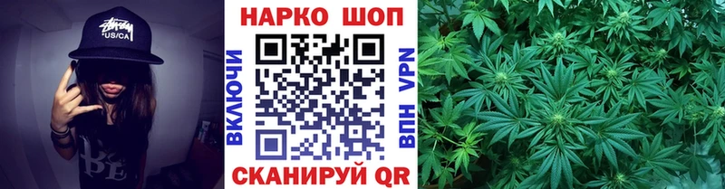 Купить наркотики цена Гаджиево A-PVP  Мефедрон  ТГК  Бошки Шишки  Cocaine  ГАШ  Псилоцибиновые грибы 