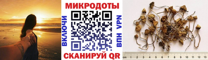 MEGA маркетплейс  наркота  Гаджиево  Галлюциногенные грибы ЛСД 